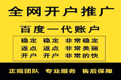 百度推广代运营公司：打造高效的网络营销团队